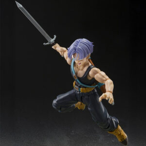 Trunks Z fighters SHFiguarts Trunks Z fighters Limited Edition Group Base B