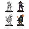Hobgoblin Fighter & Hobgoblin Wizard (D&D Nolzur's Marvelous Miniatures)