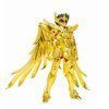 Sagittarius Seiya inheritor Sagittarius Seiya inheritor of the gold cloth Myth Cloth EX