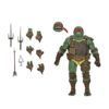Raphael -The last Ronin