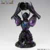 Aquarius 2 Aquarius Camus Surplice 20th revival Myth Cloth EX