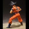 Goku saiyan raised on Earth SHFiguarts