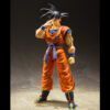 Goku saiyan raised on Earth SHFiguarts