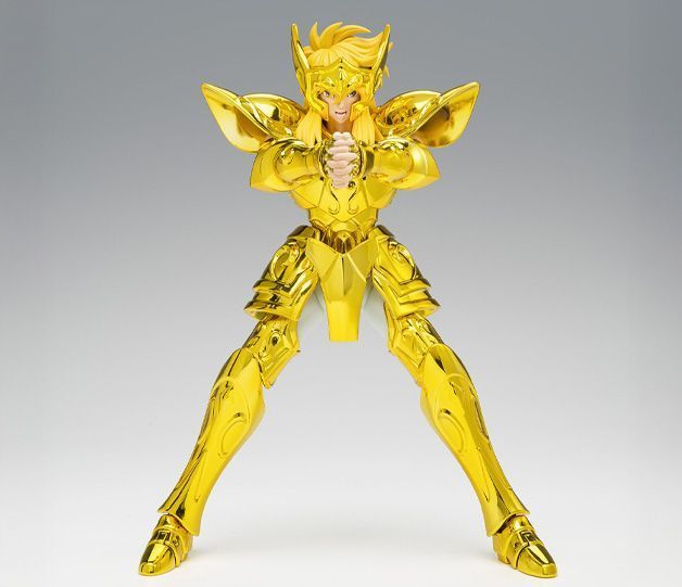 Aquarius Hyoga 3 Aquarius Hyoga Inheritor of the gold Myth Cloth EX