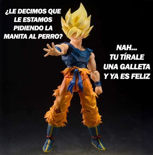 Super Saiyan Son Goku fighter rage SHFiguarts