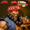 Akuma-Gouki Akuma-Gouki Street Fighter Alpha 3 Storm Arena