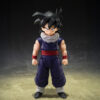 Son Gohan (Limited edition group base Ver.A) SHFiguarts
