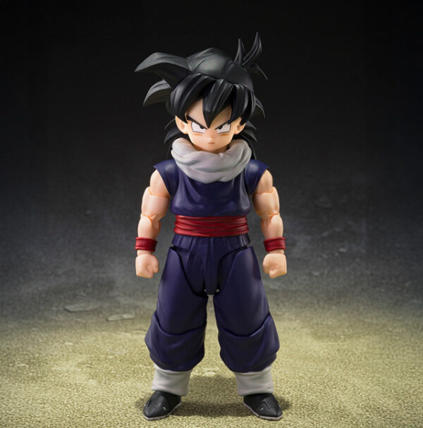 Son Gohan (Limited edition group base Ver.A) SHFiguarts